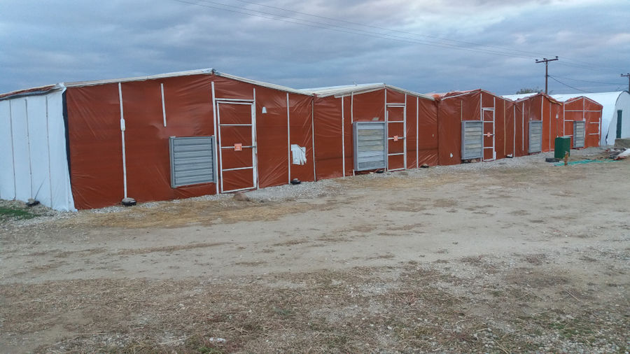 'Mitato Mushrooms Farm' greenhouses outside